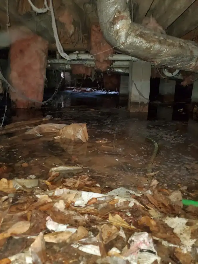 Crawl space flood assessment for Commercial Water Damage Restoration in Brooklyn